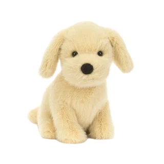 Golden Puppy