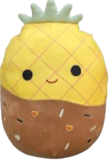 Maui (Chocolate Dipped)