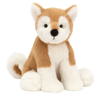 Milo Shiba Inu