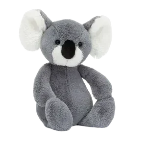 Bashful Koala