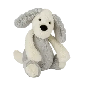 Bashful Chaucer Dog