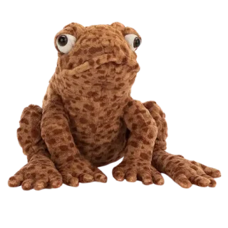 Toby Toad