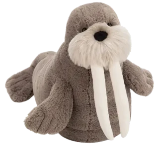 Willie Walrus