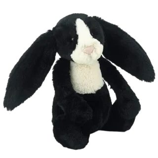 Bashful Dutch Bunny