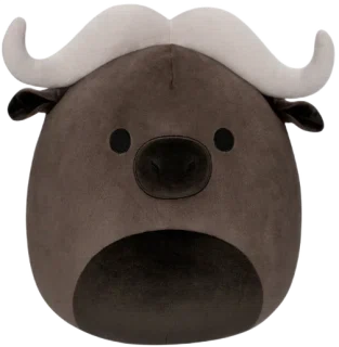 Boden
