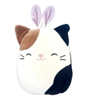 Cam (Bunny Ears)