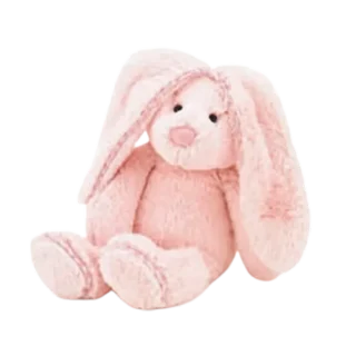 My First Bunny