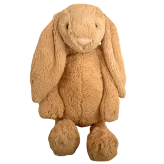 Bashful Honey Bunny