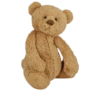 Bashful Bear Cub