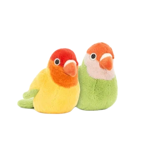 A Pair of Lovely Lovebirds