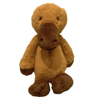 Bashful Platypus