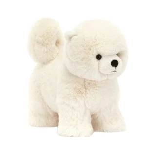 Daphne Pomeranian