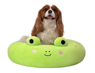 Wendy (Pet Bed)
