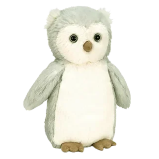 Bashful Owl Chick