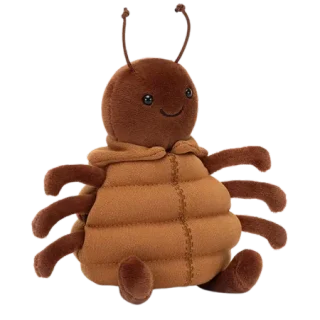 Anoraknid Brown Spider