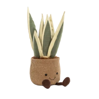 Amuseables Snake Plant