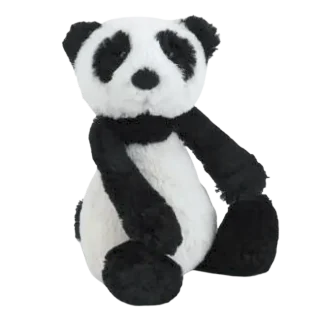 Bashful Panda (2011)