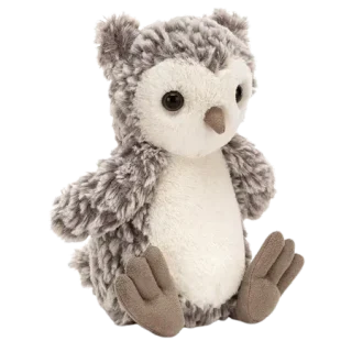 Barney Owl Chick