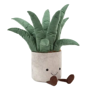 Amuseable Aloe Vera Large