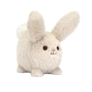 Caboodle Bunny