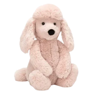 Bashful Poodle