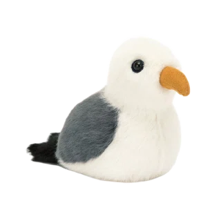 Birdling Seagull