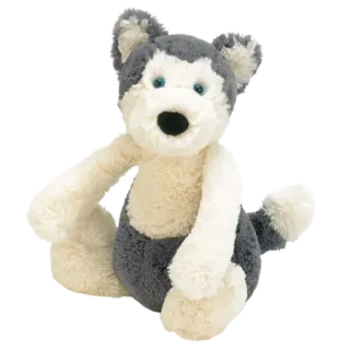 Bashful Huskie