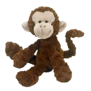 Bobo Monkey