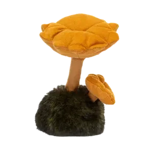 Wild Nature Chanterelle Mushroom