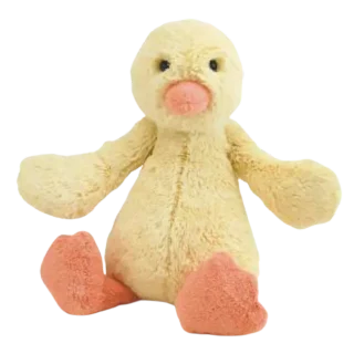 Bashful Chick