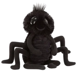 Frizzles Spider