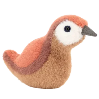 Birdling Wren
