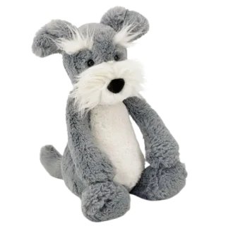 Bashful Schnauzer