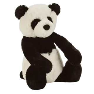 Bashful Panda Cub