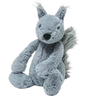 Woodland Grey Squirrel