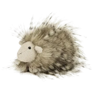Fluffy Gorgeous Guinea Pig