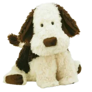 Truffles Puppy
