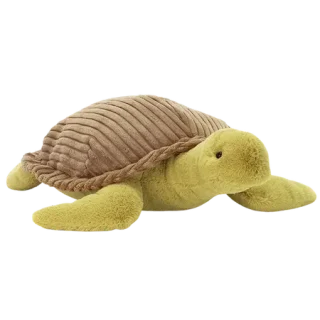 Terence Sea Turtle