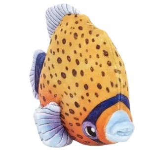 Fishiful Orange