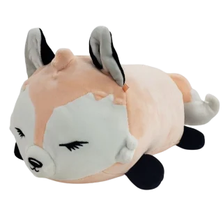 Quinn the Fox