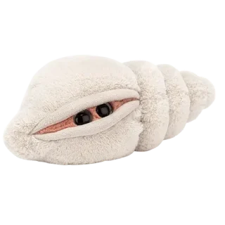 Katie Conch