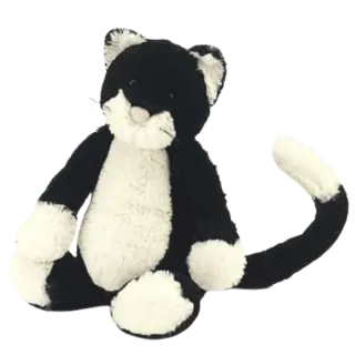 Bashful Black & White Kitten