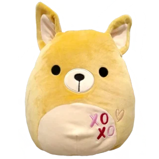 Chauncy