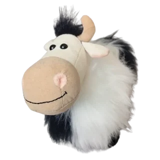 Shaggy Cow