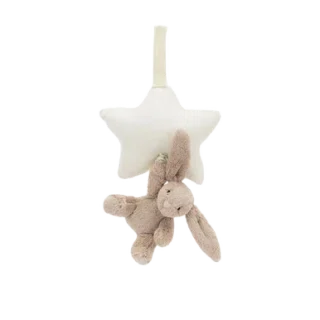 Bashful Bunny Star Musical Pull