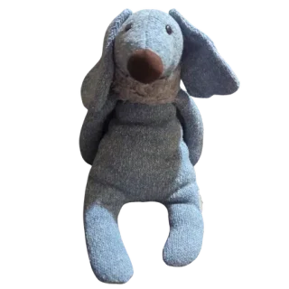 Dickie Dashwood Dog