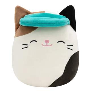 Cam (Visor)