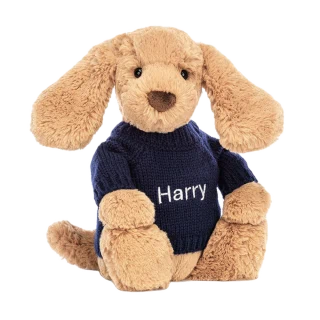 Bashful Toffee Puppy with Personalised Navy Jumper