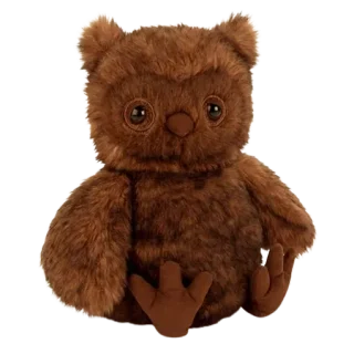 Cornelius Owl