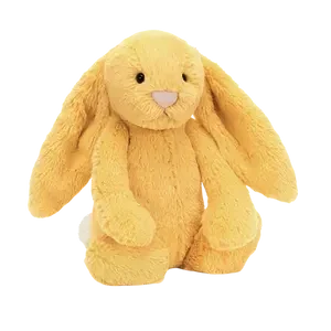 Bashful Sunshine Bunny